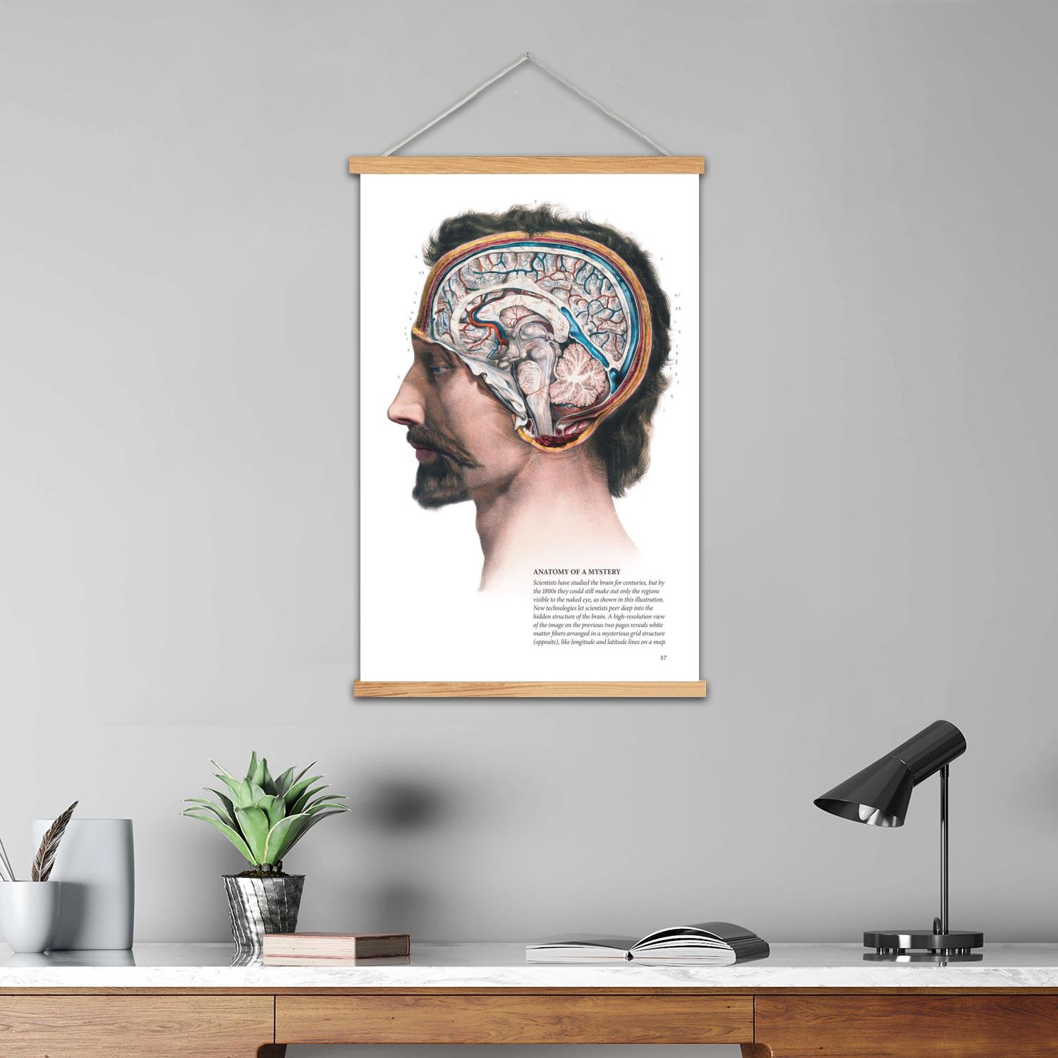뇌 프레임 벽화 캔버스 아트 포스터, 벽 예술, 그림  - Art Print Framed 리뷰 및 가격