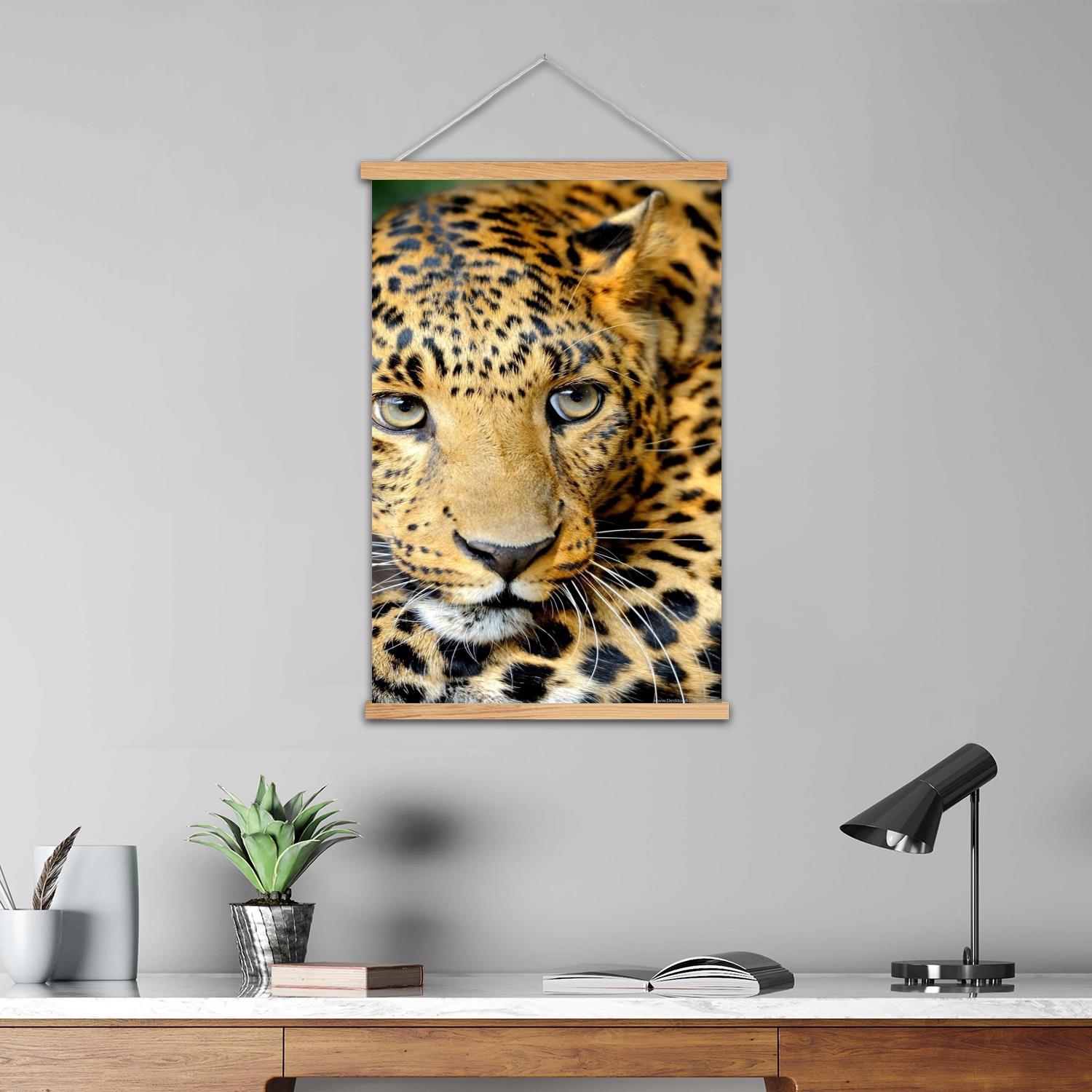 표범 무늬 액자 벽화 캔버스 아트 포스터, 벽 예술 모 - Art Print Framed 리뷰 및 가격